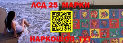 мдпв Гусев