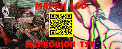 мдпв Гусев