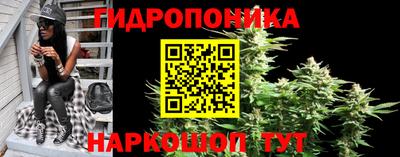 стафф Гусиноозёрск
