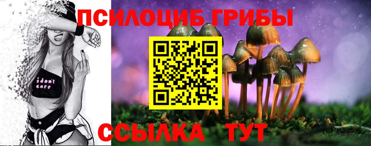 купить наркотики сайты  Галлюциногенные грибы GOLDEN TEACHER  Вход с VPN  Михайловка 