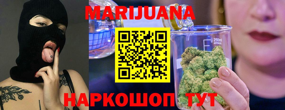 Каннабис сатива Михайловка